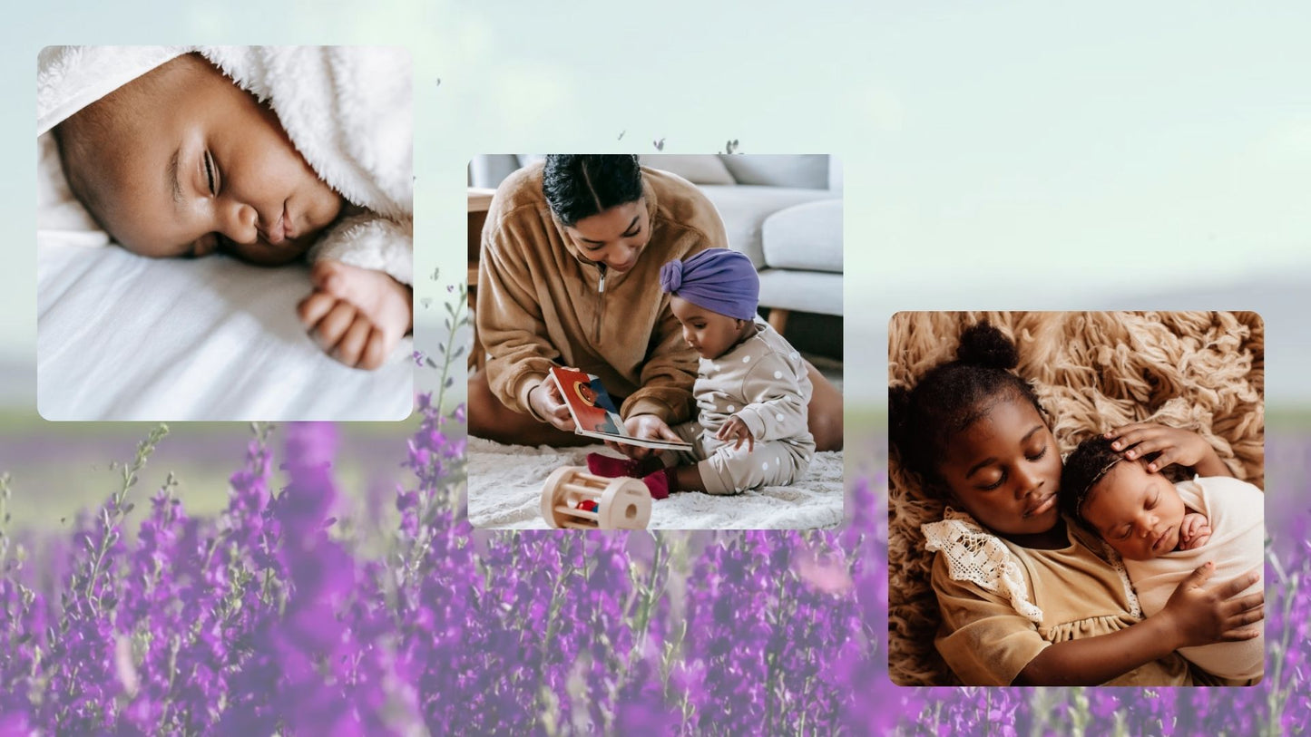 Editable Purple Lavender Memorial Tribute Video | Canva Template